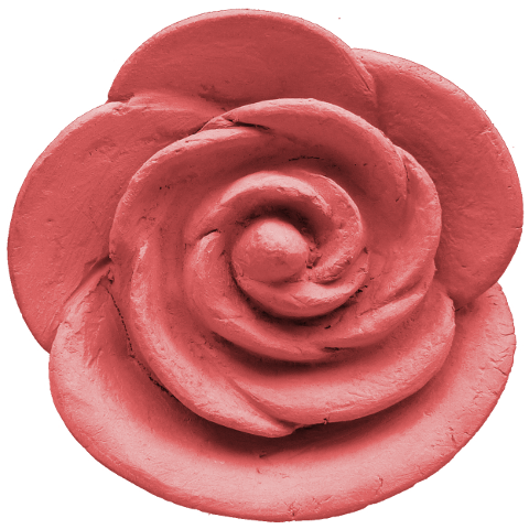 rose-rot